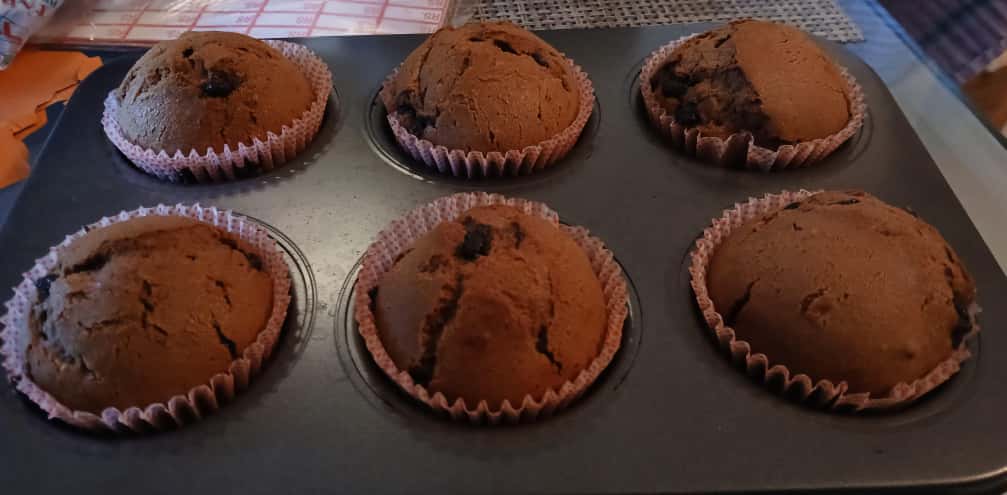Choco-Chip Muffin
