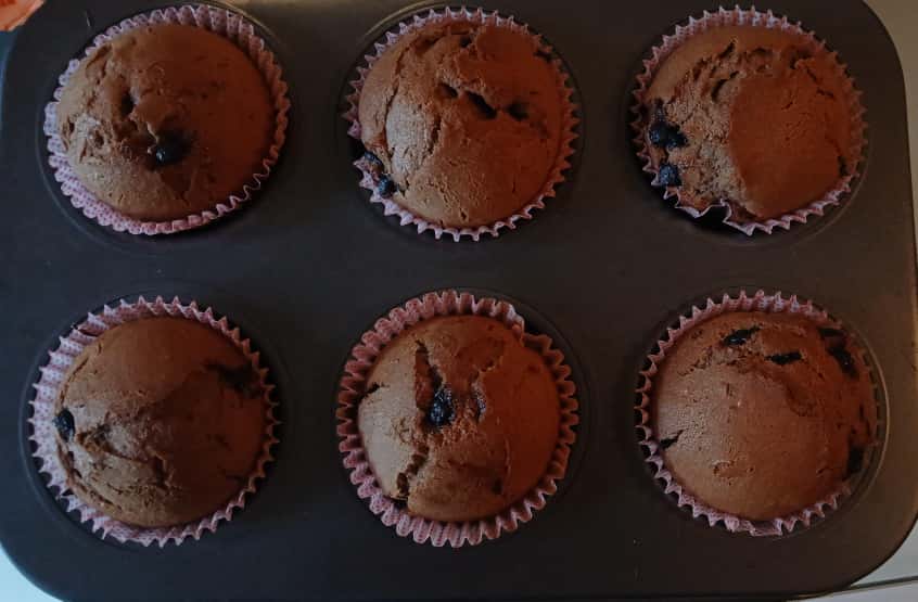 Choco-Chip Muffin